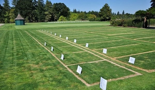 Featured Image of Century Sankhya Plots